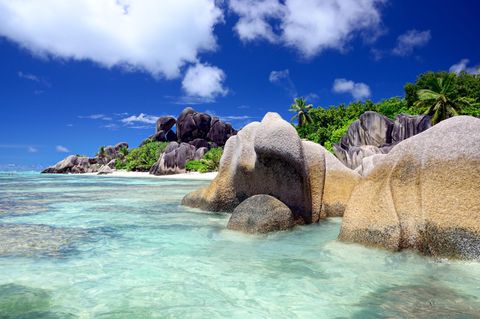 Praslin & La Digue, Seychellen: Traumstrände und anzügliche Pflanzen  Man wird kaum schönere Strände finden als die der Seychellen, mit Felsen gesprenkelt und mit pulverfeinem Sand. Zwischen Mahe, Praslin und La Digue schippern Fähren, sodass man seine Flitterwochen auf mehrere Inseln verteilen kann. Das kleine La Digue ist autofrei, in Praslin gibt es gute Restaurants und das Naturreservat Vallee de Mai, wo man unter Seychellenpalmen schlendern und über die anzügliche Form ihrer Samen kichern kann.