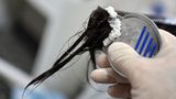 Mit einem speziellen Läusekamm werden Nissen aus den Haaren gekämmt. Die Methode mit Heißluft ist nicht unumstritten - so warnt das Robert Koch-Institut vor möglichen Schäden für die Kopfhaut.