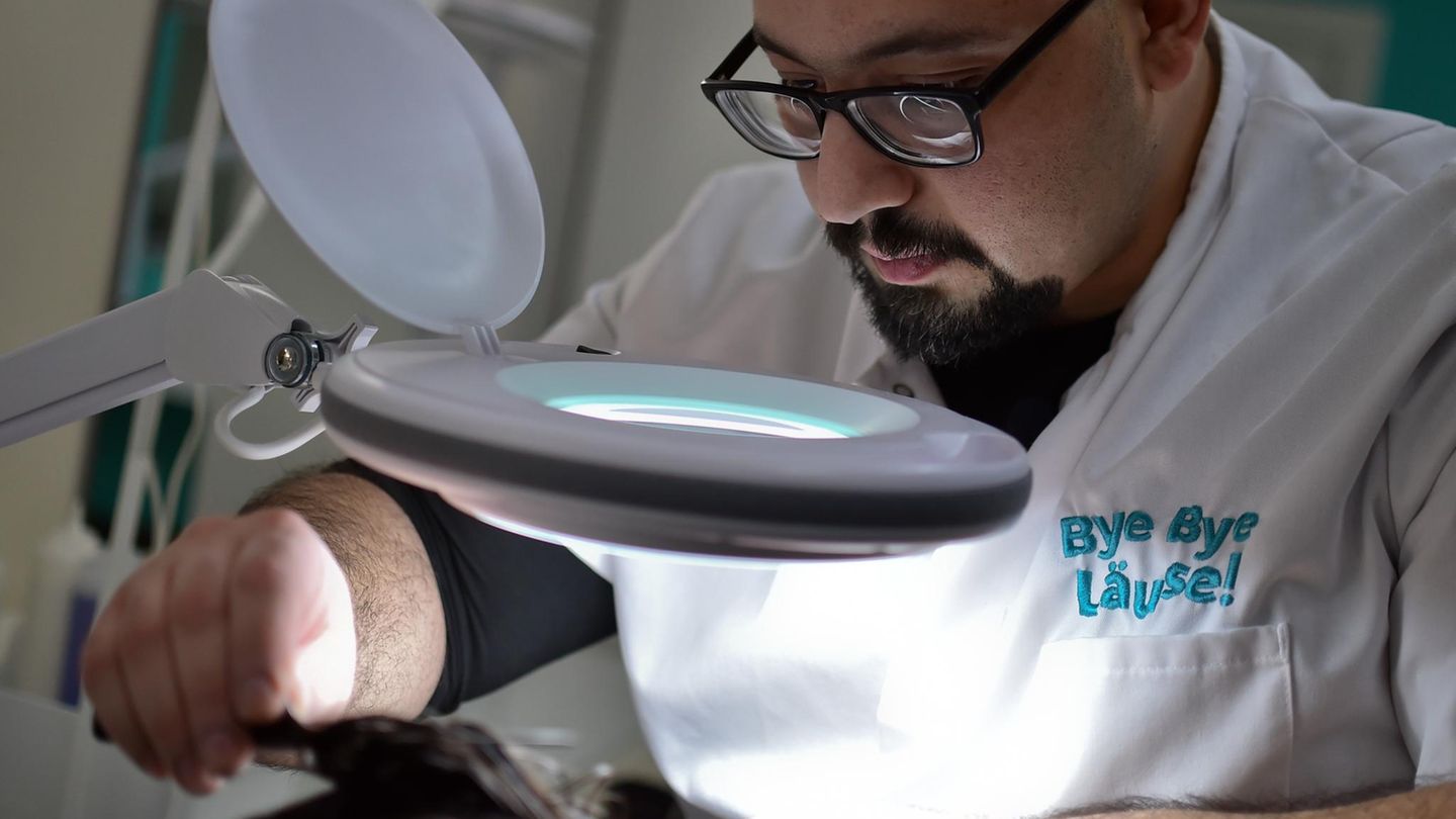 Feinschliff mit einem Läusekamm: Nach einer einzelnen Behandlung sollen alle Kopfläuse verschwunden sein. Die Prozedur ist recht kostspielig: Kunden mit kurzen Haaren zahlen 79 Euro, Kunden mit langen Haaren 119 Euro. Kaffee und Keks sind inklusive.