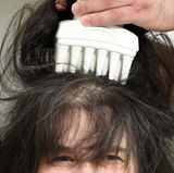 Für die Eigenbehandlung gegen Läuse empfehlen Experten einen speziellen Läusekamm, mit dem Strähne für Strähne inspiziert werden sollte. Im Anschluss sollte ein Insektizid - also ein Mittel zum Abtöten von Insekten - aufgetragen werden. Nach einigen Tagen sollte die Behandlung wiederholt werden.