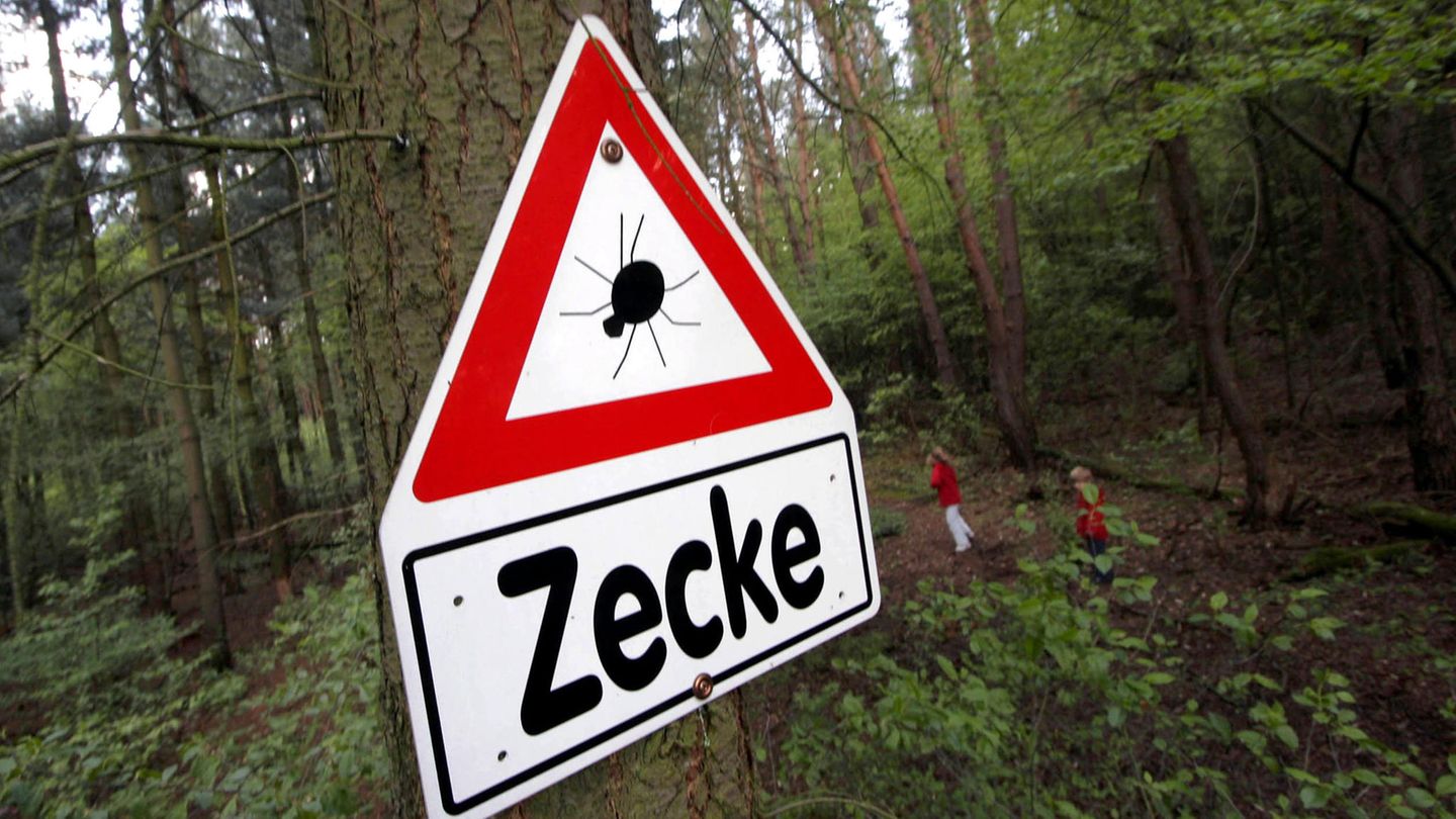 Ein Warnschild mit der Aufschrift "Zecke" hängt an einem Baum im Wald