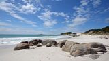 Tasmanien