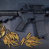 Alle Waffen im AR-15-Stil nutzen ein mittleres Kaliber.