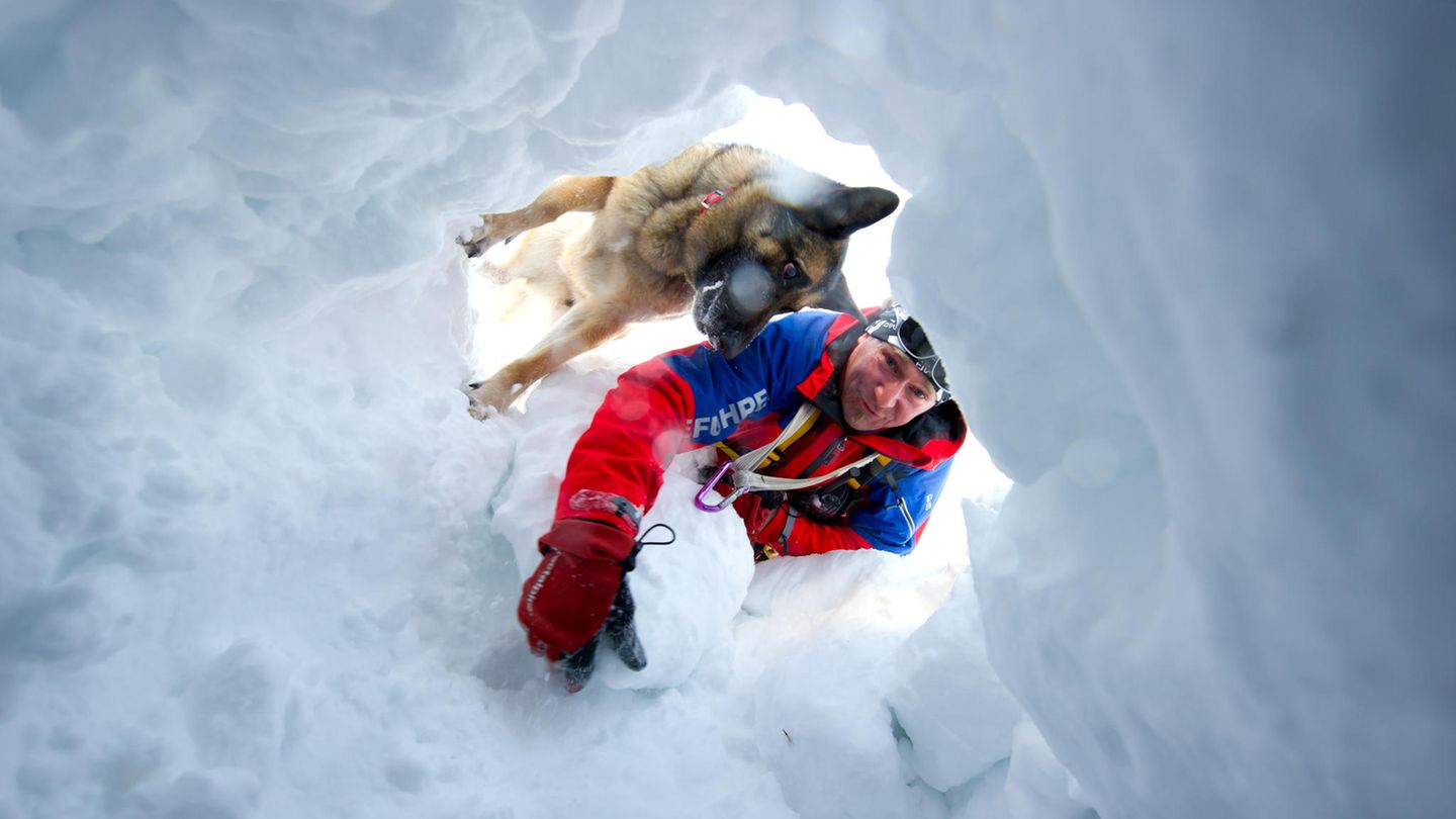 Ein Retter sucht mit seinem Hund bei einer Übung nach potenziellen Lawinenopfern