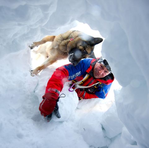 Ein Retter sucht mit seinem Hund bei einer Übung nach potenziellen Lawinenopfern