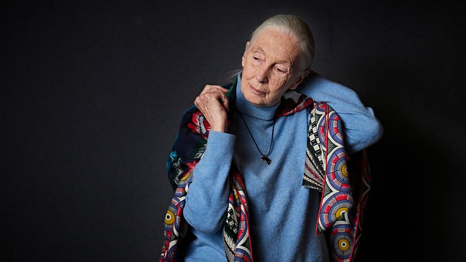 Bekleidet mit Khaki-Short und -Hemd: Primatenforscherin Jane Goodall gibt es jetzt als Barbie-Puppe