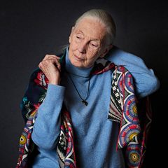Interview mit Affenforscherin: Jane Goodall: "Wir messen Erfolg an Geld und Macht statt an unserem Leben"