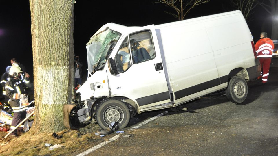 nachrichten deutschland - unfall elch