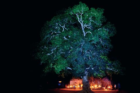 Dunkles Afrika: Noch immer leben 600 Millionen Menschen ohne Licht