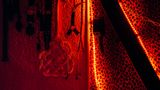 Manches von dem Equipment wäre für Puppen sinnlos: Hier mieten immer wieder auch Sexarbeiterinnen aus Fleisch und Blut Räume. 