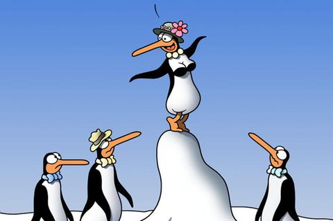 Spitze Feder: Von Sehhunden und braunem Pöbel - Die besten Tetsche-Cartoons 2018