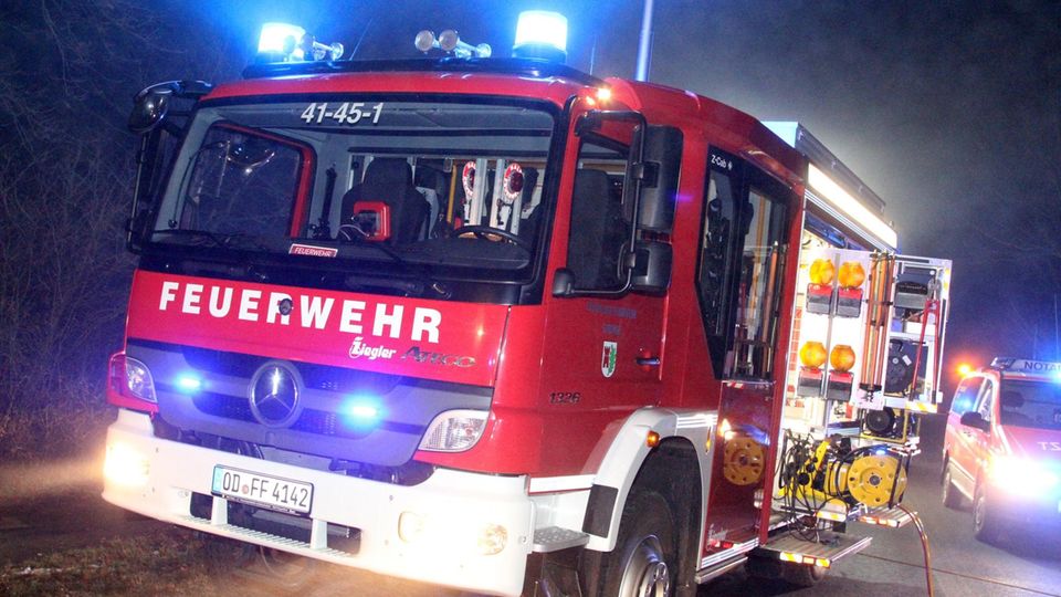 Bei einem Großfeuer im niedersächsischen Dörpen sind 460 Schweine verendet (Symbolbild) Bei einem Großfeuer im niedersächsischen Dörpen sind 460 Schweine verendet (Symbolbild)