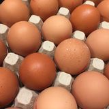 Eier  Nach Ablauf noch unbedenklich? Ja, noch ca. 2 Wochen Ausnahme: Für Tiramisu und andere Speisen mit rohen Eiern muss das MHD eingehalten werden.      Wie prüfen?  Augen: Wasserglas-Test  Nase: faulig  Mund: faserig (bei gekochten Eiern)      Was tun? Wasserglas-Test: Ei in ein Glas mit Wasser legen. Frische Eier bleiben unten. Richtet es sich auf, ist es etwas älter, aber noch genießbar. Schwimmt es oben, sollte es entsorgt werden. Eier, die kurz abgelaufen sind, zum Backen und Kochen verwenden, denn bei hohen Temperaturen werden Keime unschädlich gemacht. Spiegeleier beidseitig braten.      Tipp: So bleiben Eier länger frisch: In der Kühlschranktür oder Eierkarton lagern (möglichst unter 10°C). • Die Schale von rohen Eiern sollte nicht mit anderen Lebensmitteln in Kontakt kommen, da Salmonellenübertragung möglich. Gekochte Eier halten ca. 1–2 Wochen. Industriell bemalte Ostereier sind wegen eines Schutzlackes länger haltbar.