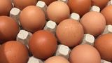 Eier  Nach Ablauf noch unbedenklich? Ja, noch ca. 2 Wochen Ausnahme: Für Tiramisu und andere Speisen mit rohen Eiern muss das MHD eingehalten werden.      Wie prüfen?  Augen: Wasserglas-Test  Nase: faulig  Mund: faserig (bei gekochten Eiern)      Was tun? Wasserglas-Test: Ei in ein Glas mit Wasser legen. Frische Eier bleiben unten. Richtet es sich auf, ist es etwas älter, aber noch genießbar. Schwimmt es oben, sollte es entsorgt werden. Eier, die kurz abgelaufen sind, zum Backen und Kochen verwenden, denn bei hohen Temperaturen werden Keime unschädlich gemacht. Spiegeleier beidseitig braten.      Tipp: So bleiben Eier länger frisch: In der Kühlschranktür oder Eierkarton lagern (möglichst unter 10°C). • Die Schale von rohen Eiern sollte nicht mit anderen Lebensmitteln in Kontakt kommen, da Salmonellenübertragung möglich. Gekochte Eier halten ca. 1–2 Wochen. Industriell bemalte Ostereier sind wegen eines Schutzlackes länger haltbar.