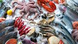 Fisch, frisch  Nach Ablauf noch unbedenklich? Nein, Verbrauchsdatum einhalten      Wie prüfen?  Augen: graue Kiemen, trübe Augen, eine mit dem Finger gedrückte Delle verschwindet nicht mehr so schnell, Filets auffällig schleimig und klebrig  Nase: durchdringend fischig, faulig/ je stärker der Geruch desto älter der Fisch  Mund: wenig arteigenes Aroma      Was tun? Nach Ablauf des Verbrauchsdatums entsorgen. Bei Tiefkühlfisch das Auftauwasser nicht mit anderen Lebensmitteln (z.B. Salat) in Kontakt kommen lassen und in den Ausguss gießen.      Tipp: So bleibt Fisch länger frisch: In der untersten Ebene des Kühlschranks, so kalt wie möglich. Seefisch hält sich länger als Süßwasserfisch. Frisch hält er sich wenige Tage, geräuchert ca. 3 Tage, tiefgefroren viele Monate bis Jahre. Frischen Fisch am besten in der Ursprungsverpackung oder geschlossen in einer Glas- oder Porzellanschale aufbewahren.