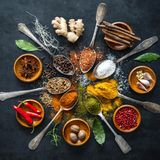 Gewürze  Nach Ablauf noch unbedenklich? Ja, ungeöffnet noch einige Monate Geöffnet nach Ablauf des MHDs entsorgen.      Wie prüfen?  Augen: sehr verklumpt, Schädlinge, z.B. kleine Käfer  Nase: muffig, andersartig  Mund: artfremd. Aromaverlust möglich, aber nicht problematisch.      Was tun?  Geöffnete Gewürzdosen nach langer Standzeit oder bei häufigem Kontakt mit Wasserdampf während des Kochens, nach Ablauf des MHDs entsorgen.      Tipp: So bleiben Gewürze länger frisch: Dunkel, trocken und verschlossen lagern.