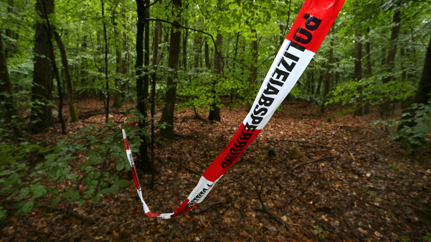 Waldstück bei Kist (Bayern): Hier wurde der Sohn von Reinhold Würth nach seiner Entführung gefunden