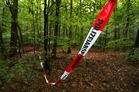 Waldstück bei Kist (Bayern): Hier wurde der Sohn von Reinhold Würth nach seiner Entführung gefunden