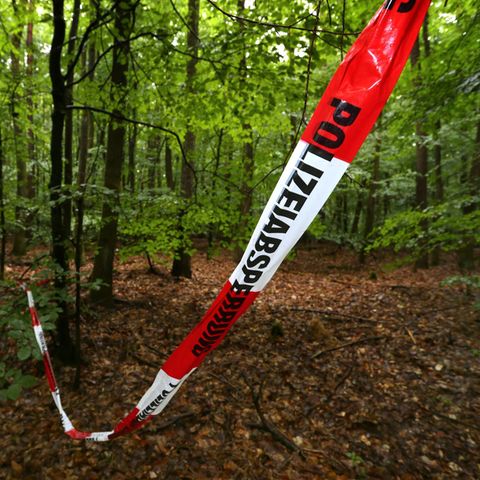 Waldstück bei Kist (Bayern): Hier wurde der Sohn von Reinhold Würth nach seiner Entführung gefunden