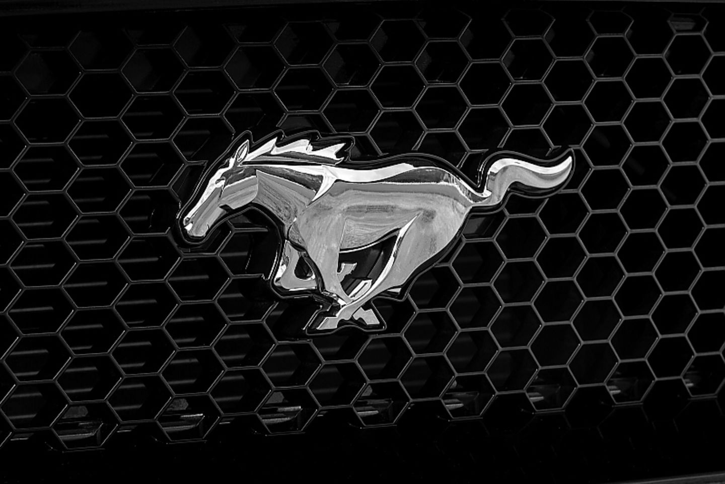 Ohne geht es nicht: Der Mustang am Ford Mustang 5.0 V8 GT Cabriolet