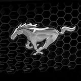 Ohne geht es nicht: Der Mustang am Ford Mustang 5.0 V8 GT Cabriolet