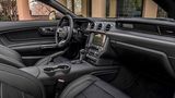Ausreichend Platz für zwei im Ford Mustang 5.0 V8 GT Cabriolet