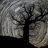 Sternenbahnen  Die Sternbahnen am Großen Ahornboden entstehen durch eine extrem lange Belichtungszeit.