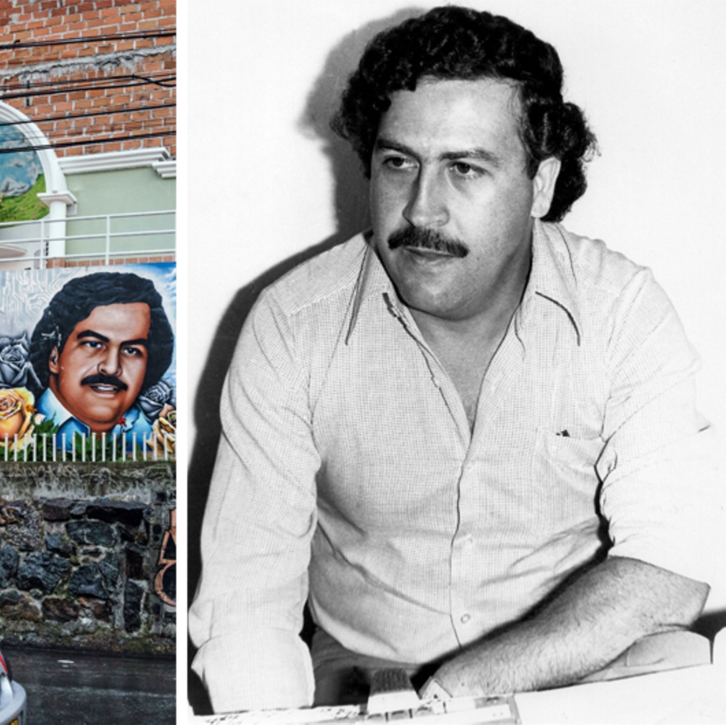 lo hizo Llevar Recomendación Drogenboss Pablo Escobar – bizzarer Hype um den Patron des Bösen | STERN.de