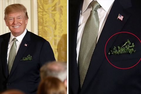 Eine Kombo links zeigt den US-Präsidenten Donald Trump und rechts, dass er Klee in der Tasche für das Eintstektuch trägt