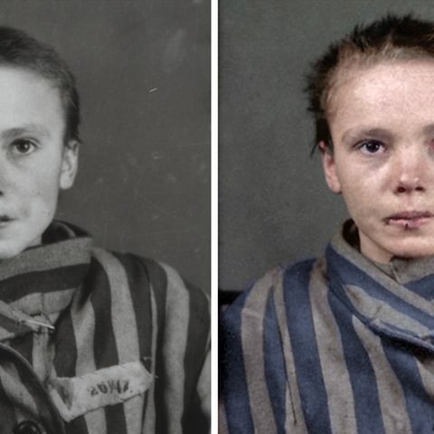 Auschwitz Teaser