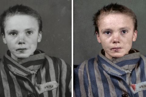 Auschwitz Teaser