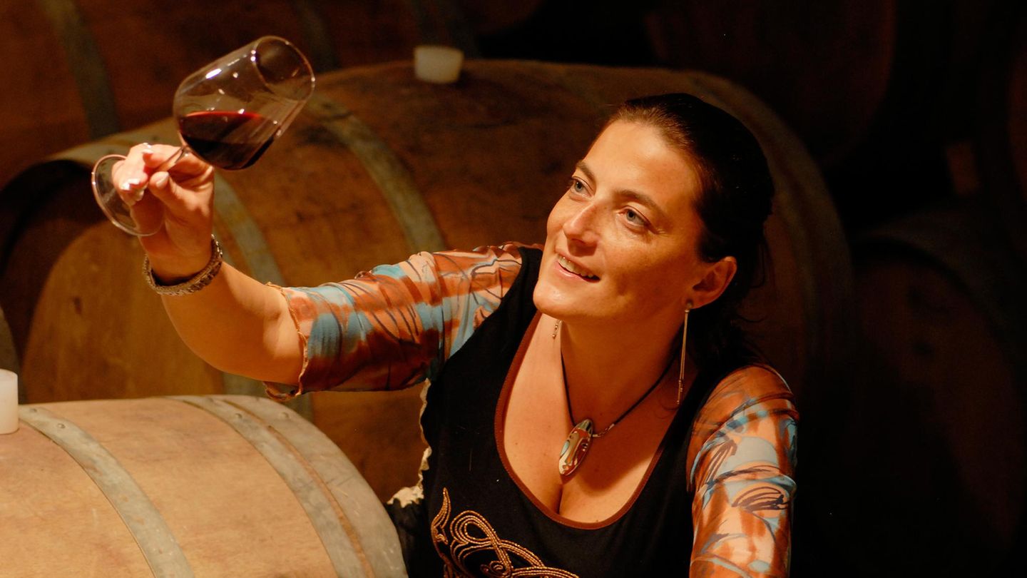 Dolomiten und mehr: Weiss, rot oder prickelnd: die Weine Der Wein schmeckt dort am besten, wo er entsteht. Die Weinanbaugebiete des Trentino erstrecken sich vom Gardasee bis ins Valle di Cembra. Schon in Mozarts Oper "Don Giovanni" wird die Rotweinsorte aus dem Vallagarina, der Marzemino, erwähnt. Auch der Süßwein, der Vino Santo, aus Nosiola-Trauben ist berühmt. Weiss, rot oder prickelnd: die Weine Der Wein schmeckt dort am besten, wo er entsteht. Die Weinanbaugebiete des Trentino erstrecken sich vom Gardasee bis ins Valle di Cembra. Schon in Mozarts Oper "Don Giovanni" wird die Rotweinsorte aus dem Vallagarina, der Marzemino, erwähnt. Auch der Süßwein, der Vino Santo, aus Nosiola-Trauben ist berühmt.