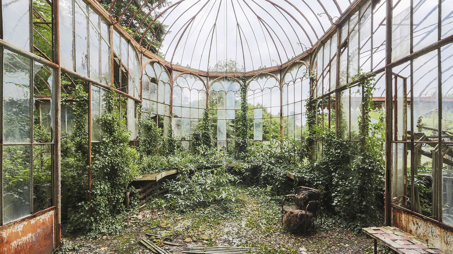 In diesem Gewächshaus gedeihen keine exotischen Pflanzen mehr wie Palmen. Stattdessen hat schnöder Efeu von dem gläsernen Pavillon Besitz ergriffen.