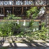 Abstellgleis - im wahrsten Sinne des Wortes. Hier bewegt sich kein Zug mehr, nur noch die Äste der noch jungen Eschen-Bäume wiegen sich im Wind.