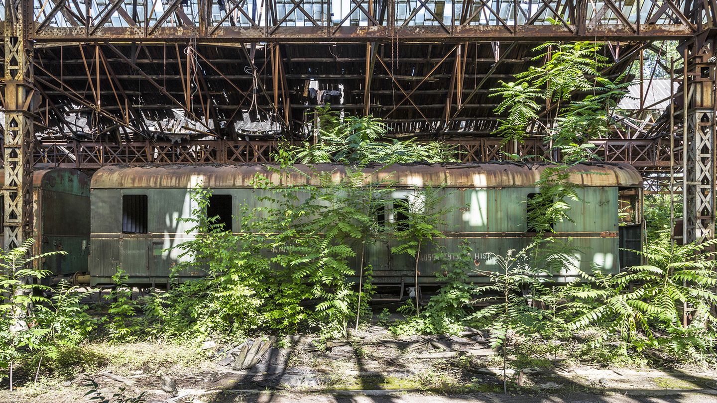 Abstellgleis - im wahrsten Sinne des Wortes. Hier bewegt sich kein Zug mehr, nur noch die Äste der noch jungen Eschen-Bäume wiegen sich im Wind.