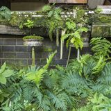 Seit Jahrzehnten wurden an dieser Bar keine Drinks mehr serviert. Moose und Farne haben stattdessen auf den Hockern und am Boden Platz genommen. Zum Schutz vor Vandalismus gibt der Fotograf keine Ortsangaben.