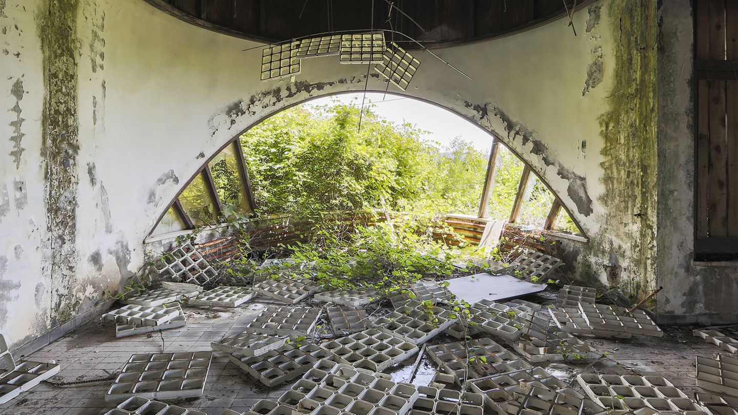 Die Deckenverkleidung liegt auf dem Fußboden, durch das Panoramafenster fällt das Grün in dieses Gebäude ein.