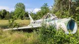 Bild 1 von 12 der Fotostrecke zum Klicken:  Dieser MiG-Jet ist alles andere als kampfbereit: Mitten im Grünen rostet diese alte sowjetische Maschine friedlich vor sich hin.