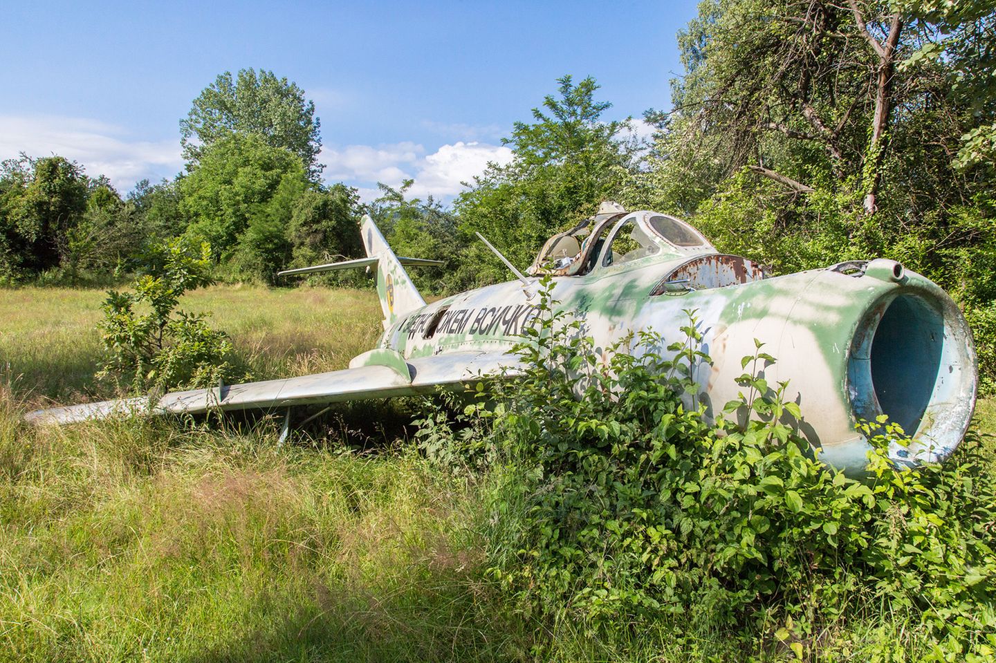 Bild 1 von 12 der Fotostrecke zum Klicken:  Dieser MiG-Jet ist alles andere als kampfbereit: Mitten im Grünen rostet diese alte sowjetische Maschine friedlich vor sich hin.