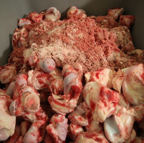 Fleisch