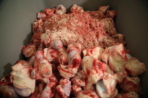 Fleisch