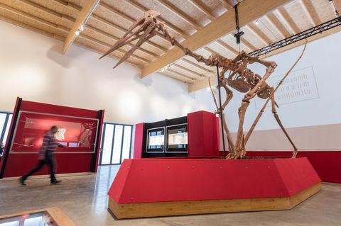 Das Modell eines Riesenflugsauriers steht im Dinosaurier Museum Altmühltal in Denkendorf