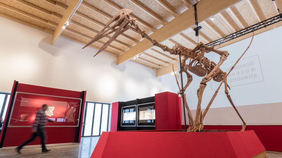 Das Modell eines Riesenflugsauriers steht im Dinosaurier Museum Altmühltal in Denkendorf