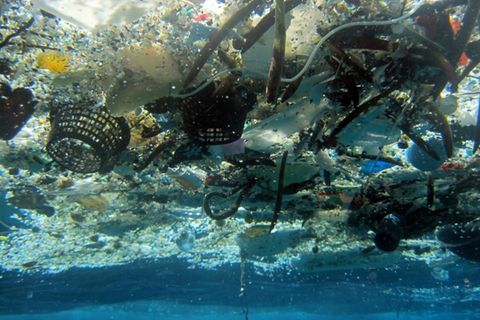 Pazifik - Plastik - Müll - Deutschland