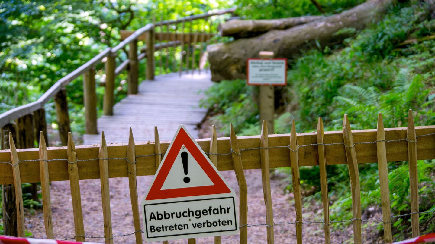 Der nach Kreideabbrüchen gesperrte Wanderweg am Königsstuhl im Nationalpark Jasmund:  Der Abstieg am bekanntesten Wahrzeichen auf der Ostseeinsel Rügen, dem Königsstuhl, soll zurückgebaut werden.