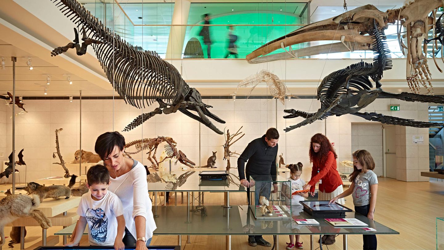 Wissenschaftsmuseum Muse  Berühren der Ausstellungsobjekte erlaubt: Seit fünf Jahren gibt es in Trient das MUSE. Auf sechs Ebenen können Familien in diesem naturwissenschaftlichen Museum die Wechselwirkungen zwischen Mensch und Umwelt entdecken. Ein sinnliches Haus zum Riechen, Anschauen und Zuhören.