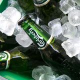 Platz 10: Carlsberg-Gruppe  Absatz in Deutschland 2017: 2,4 Millionen Hektoliter  Die Carlsberg-Gruppe mit Sitz in Kopenhagen ist der viertgrößte Brauereikonzern der Welt. In Deutschland ist sie unter andeem durch die Marken Lübzer, Astra, Duckstein und Holsten vertreten.