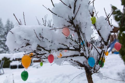 Osterwetter: Im Norden Deutschlands könnte die Dekoration im Laufe der Woche von weißen Flocken verdeckt werden