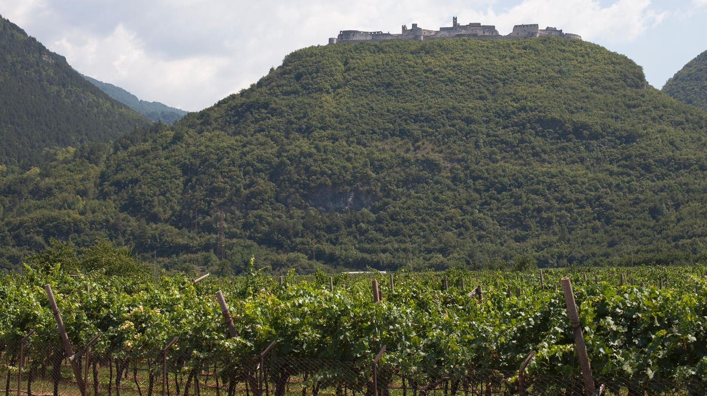 Restaurant-Tipps: LA RUPE DI BESENO Auf dem grünen Hügel das mächtige Castel Beseno, darunter Weinberge – und ein Ausflugslokal mit großer Terrasse. Im sonnengelb getünchten Restaurant zeigt Chef Massimo Curzel, das man Tagesbesucher nicht zwangsläufig mit liebloser Küche abfertigen muss. Stattdessen rollt er saftige Käseknödel, kombiniert Gerstenrisotto mit Kürbisblüten und serviert seine Buchweizenspätzle mit geschmolzenem Puzzone-Käse. Kleine, aber kenntnisreich zusammengestellte Weinkarte. Und an der Vitrine mit den hausgemachten Strudeln und der Kastaniencreme zum Nachtisch kommt so schnell keiner vorbei. Besenello, Loc. Maso Trapp, Via Castel Besen0 6 Tel. 0464-83 41 32 www.larupedibeseno.it LA RUPE DI BESENO Auf dem grünen Hügel das mächtige Castel Beseno, darunter Weinberge – und ein Ausflugslokal mit großer Terrasse. Im sonnengelb getünchten Restaurant zeigt Chef Massimo Curzel, das man Tagesbesucher nicht zwangsläufig mit liebloser Küche abfertigen muss. Stattdessen rollt er saftige Käseknödel, kombiniert Gerstenrisotto mit Kürbisblüten und serviert seine Buchweizenspätzle mit geschmolzenem Puzzone-Käse. Kleine, aber kenntnisreich zusammengestellte Weinkarte. Und an der Vitrine mit den hausgemachten Strudeln und der Kastaniencreme zum Nachtisch kommt so schnell keiner vorbei. Besenello, Loc. Maso Trapp, Via Castel Besen0 6 Tel. 0464-83 41 32 www.larupedibeseno.it