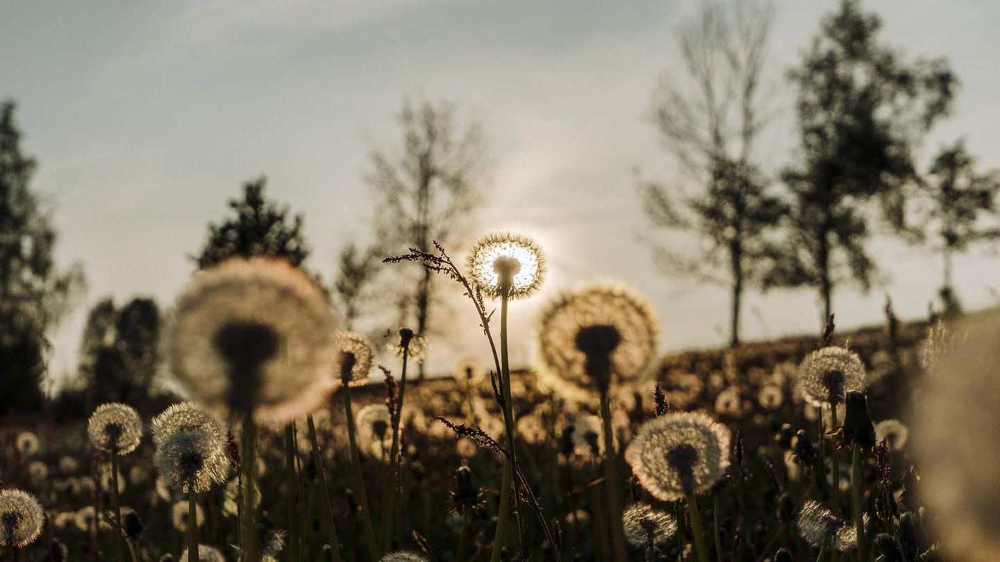 "Ich hatte immer wieder unglaublich schöne Sonnenuntergänge.“ So wie hier im Erzgebirge in Sachsen.